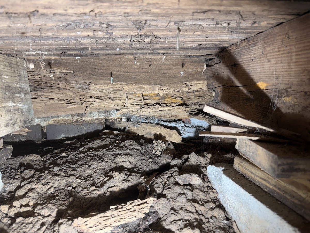 Foundation damage repair — under-floor structural work